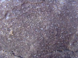 Galaxy Sandstone Slate